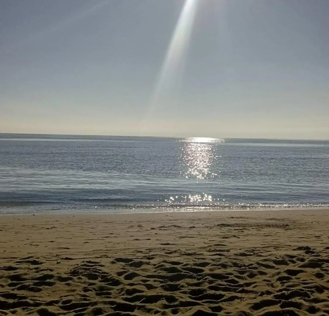 El Limonero Apartment Estepona Spain